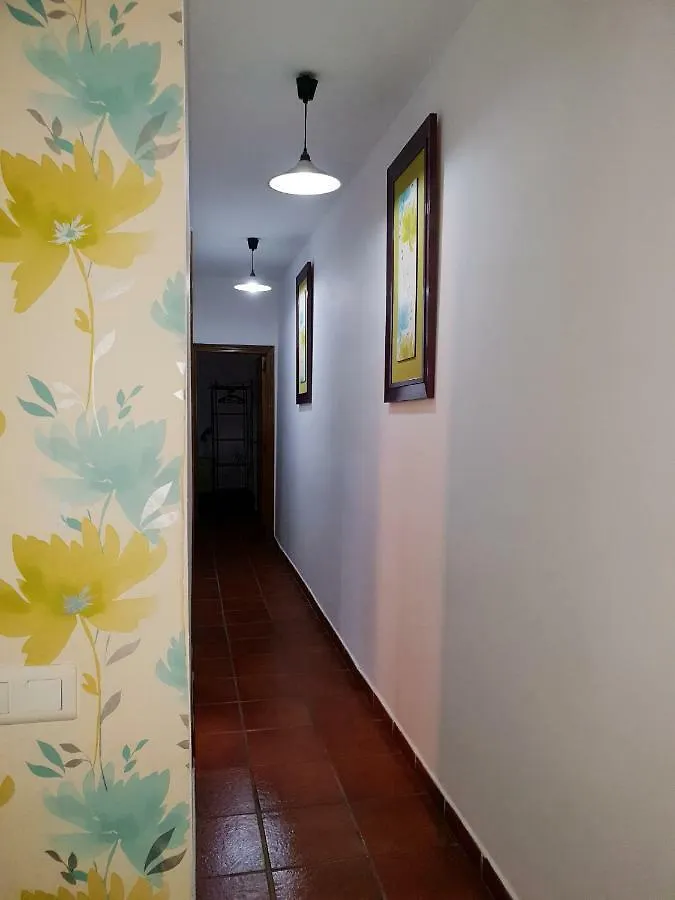 Apartamento La Rana Seville Apartment